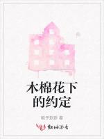 木棉花下的约定