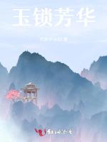 玉锁芳华