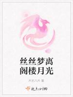 丝丝梦离阁楼月光
