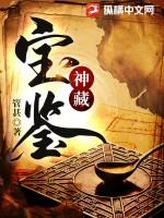 神藏宝鉴