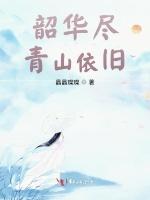 韶华尽青山依旧