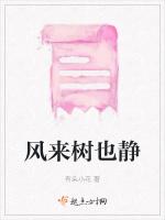 风来树也静