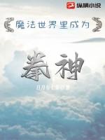 魔法世界里成为拳神