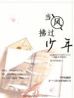 当风拂过少年
