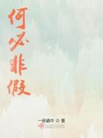 何必非假