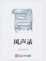 风声录