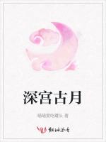 深宫古月