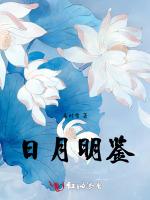 日月明鉴