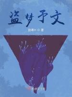 盗梦予文