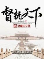 督抚天下
