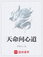 天命问心道