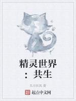 精灵世界：共生
