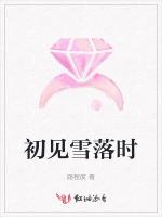 初见雪落时