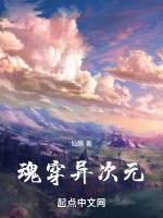 魂穿异次元