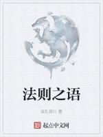 法则之语