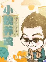 小魏养鸡