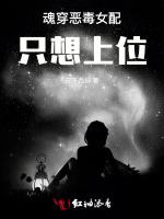魂穿恶毒女配只想上位