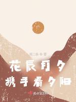 花辰月夕，携手看夕阳