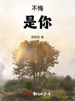不悔，是你
