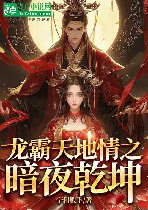 龙霸天地情之暗夜乾坤