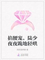 掐腰宠，陆少夜夜跪地轻哄