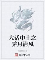 大话中土之霁月清风
