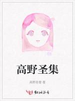 高野圣集