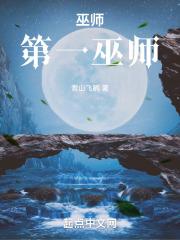 巫师：第一巫师