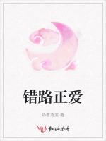 错路正爱