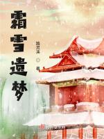 霜雪遗梦