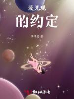 没兑现的约定