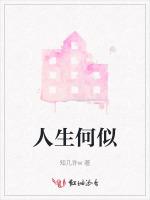 人生何似
