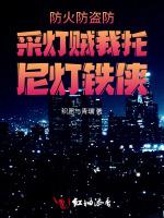防火防盗防采灯贼我托尼灯铁侠