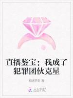 直播鉴宝：我成了犯罪团伙克星