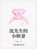 沈先生的小娇妻