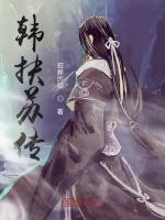 韩扶苏传