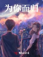为你而归