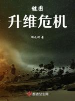 谜图：升维危机