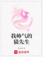 我帅气的猫先生