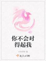 你不会对得起我