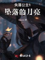 失落公主1坠落的月亮
