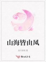 山海皆由风