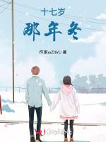 十七岁那年冬