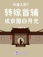 外室入府？转嫁首辅成京圈白月光