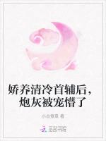 娇养清冷首辅后，炮灰被宠懵了