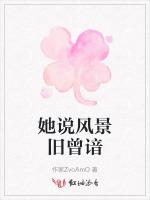 她说风景旧曾谙