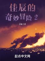 佳辰的奇妙冒险2