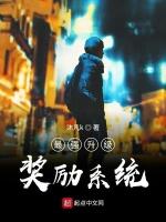 最强升级奖励系统
