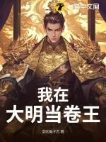 我在大明当卷王