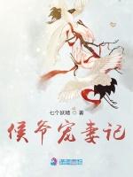 候爷宠妻记
